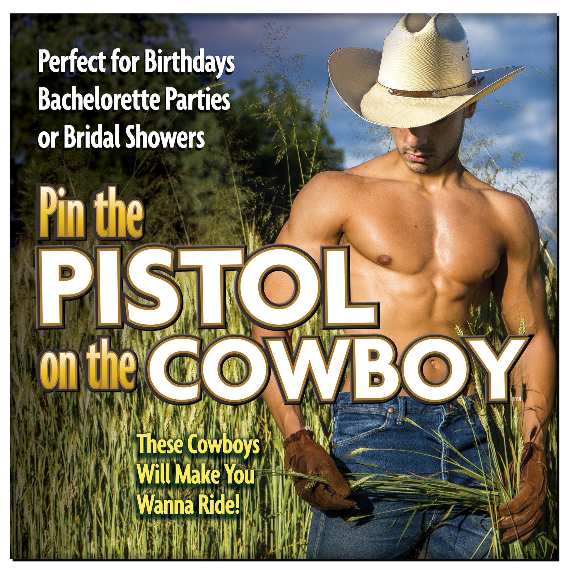 Pin the Pistol on the Cowboy game for parties, featuring a rugged cowboy in a field, perfect for fun celebrations.